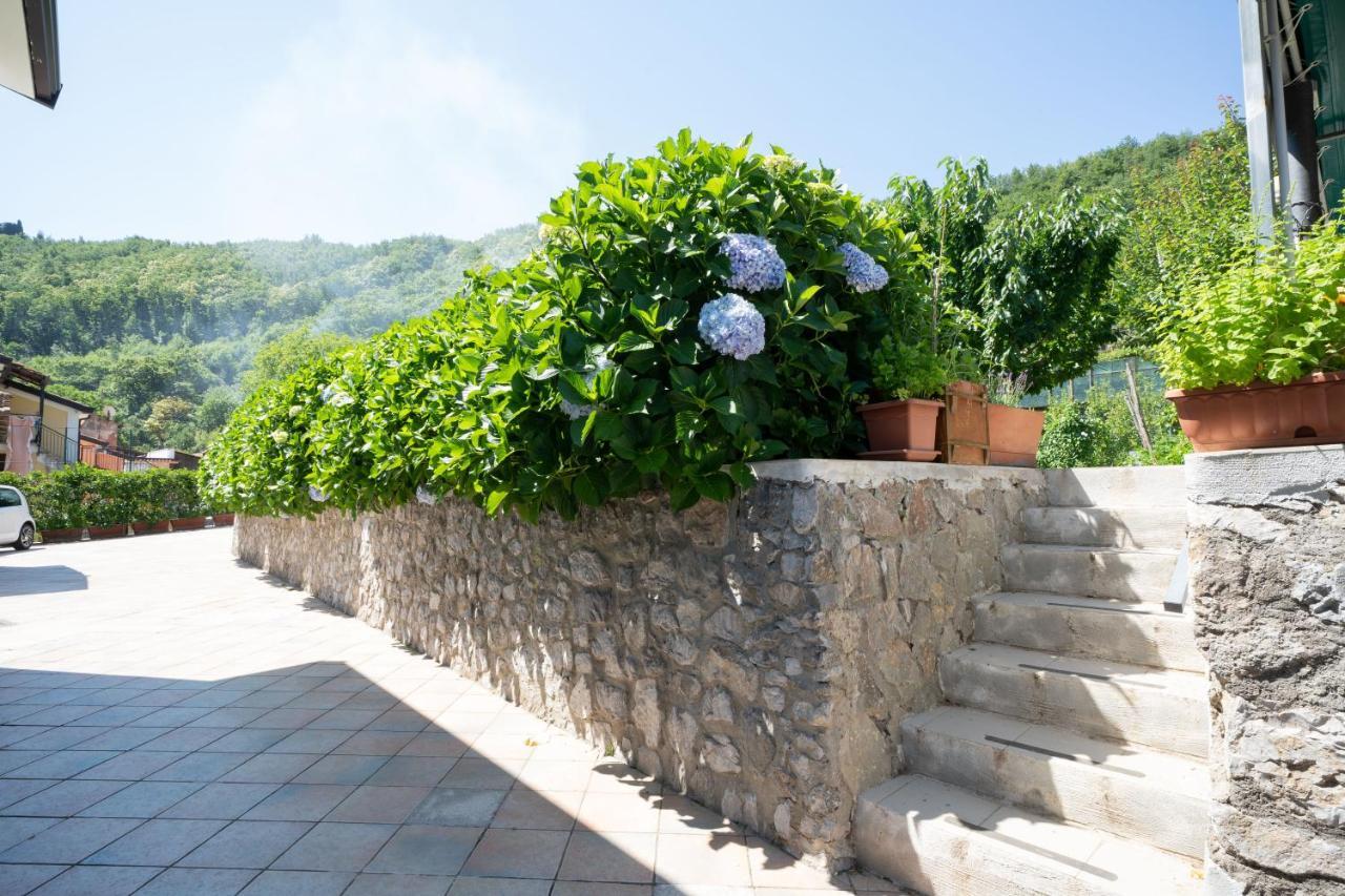 Apicella Casa Vacanze Βίλα Tramonti Εξωτερικό φωτογραφία