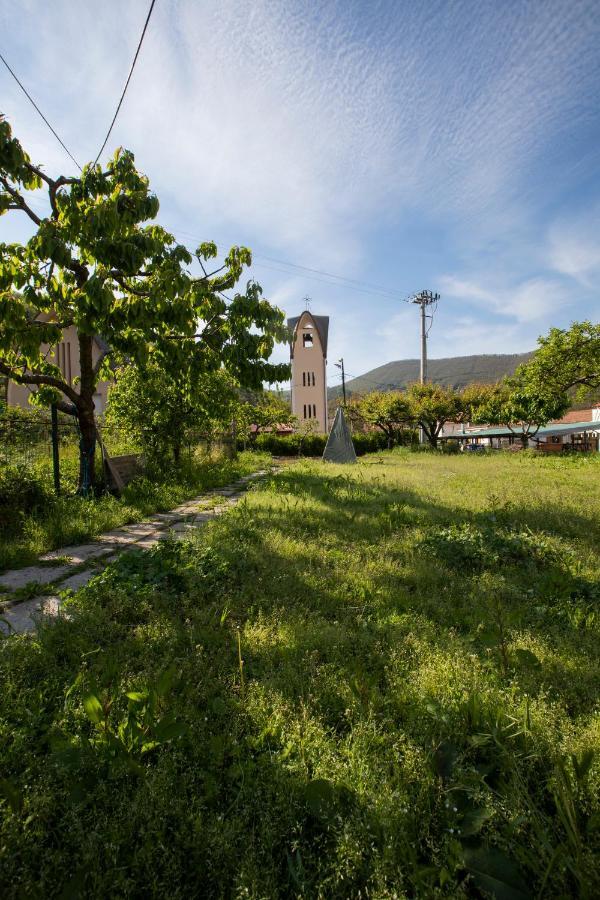 Apicella Casa Vacanze Βίλα Tramonti Εξωτερικό φωτογραφία