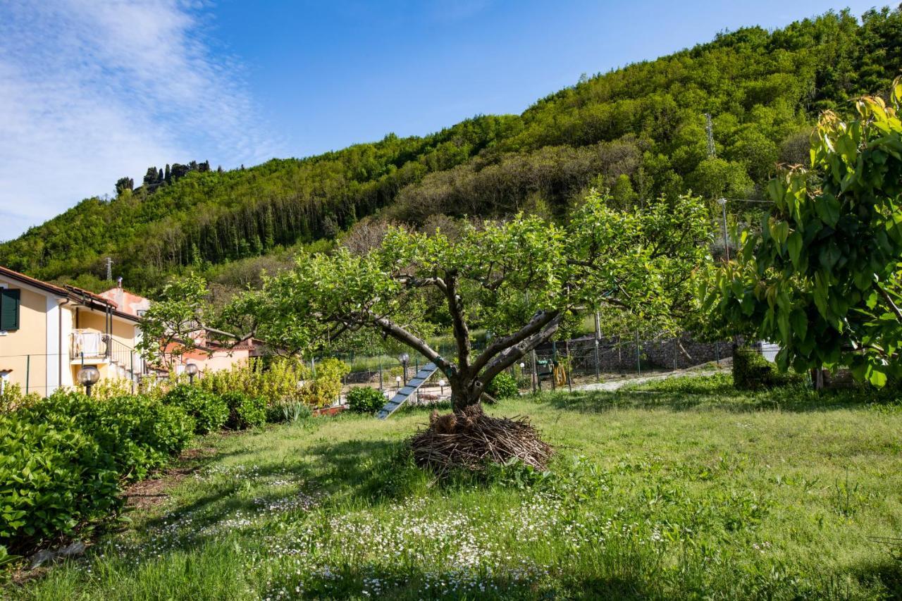 Apicella Casa Vacanze Βίλα Tramonti Εξωτερικό φωτογραφία